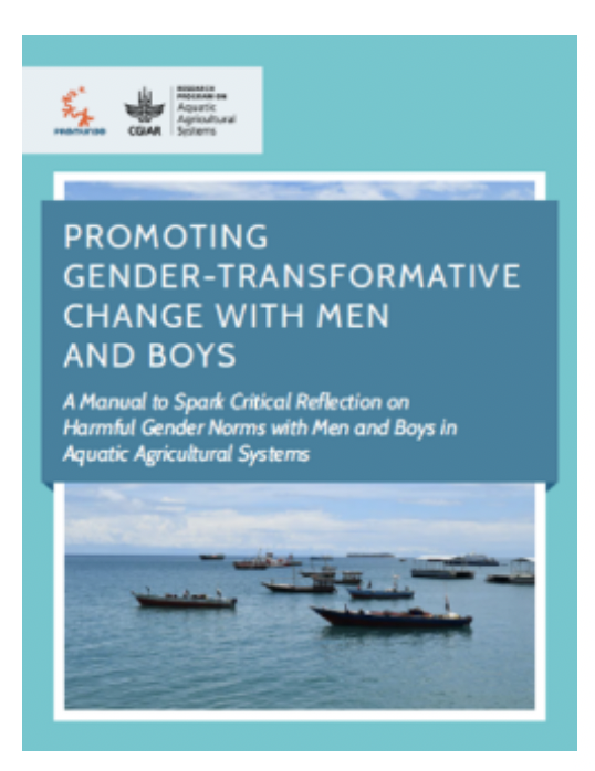 promoting gender transformative manual