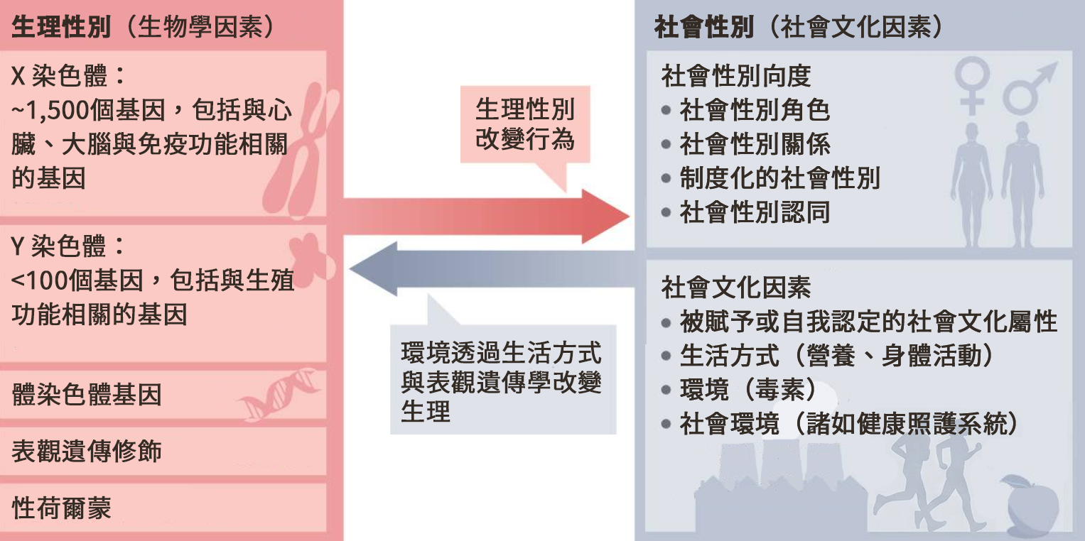 sex and gender from Regitz-Zagrosek and Gebhard, NRC 20(4)